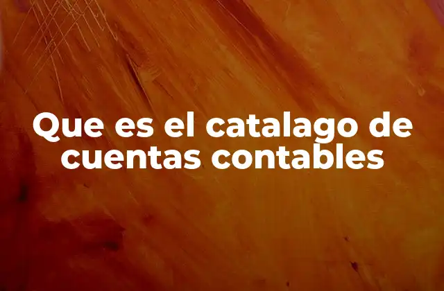 Que es el Catalago de Cuentas Contables