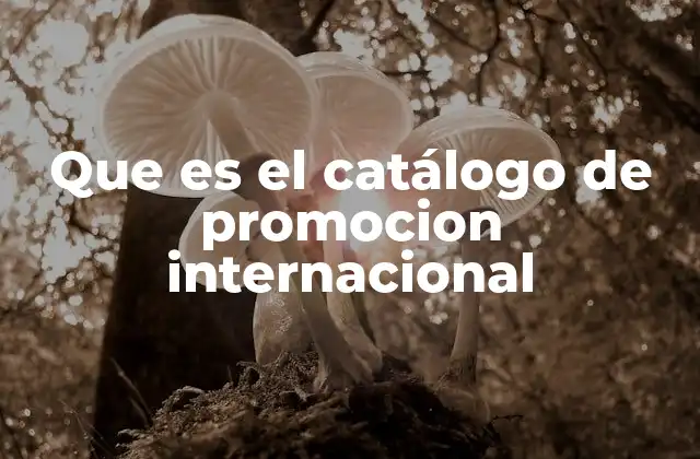 Que es el Catálogo de Promocion Internacional