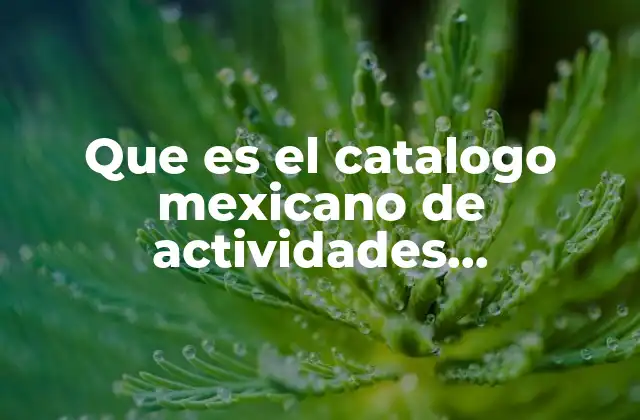 Que es el Catalogo Mexicano de Actividades Productivas