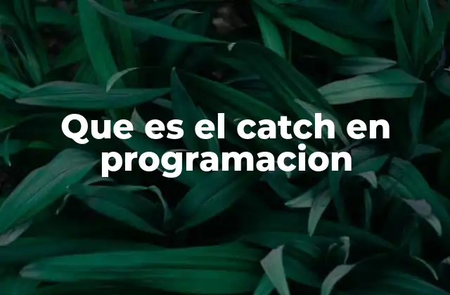 Que es el Catch en Programacion