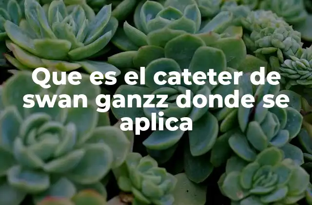 Aplicaciones del catéter en la medicina crítica