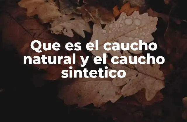 Que es el Caucho Natural y el Caucho Sintetico