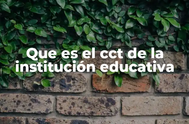 Que es el Cct de la Institución Educativa