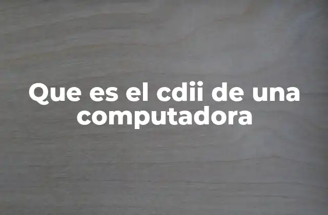 Que es el Cdii de una Computadora