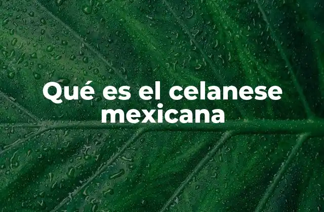Qué es el Celanese Mexicana