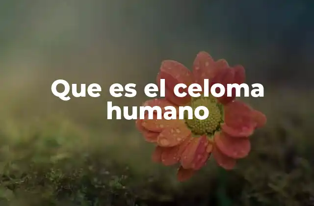 Que es el Celoma Humano