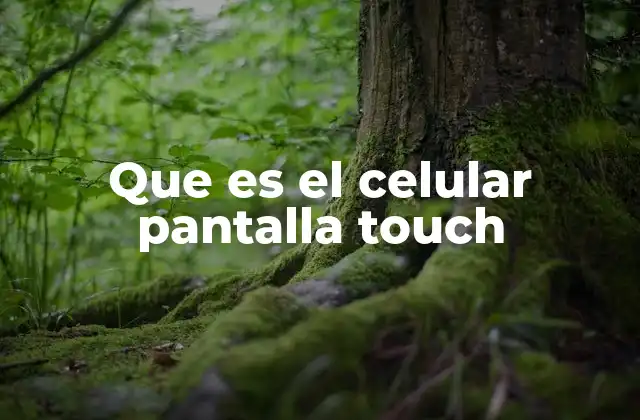 Que es el Celular Pantalla Touch