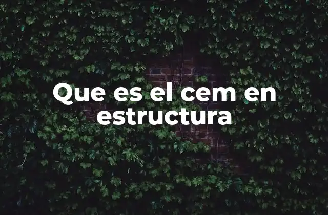 Que es el Cem en Estructura