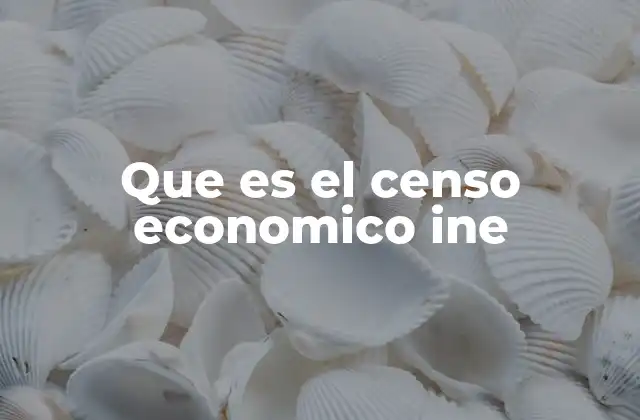 Que es el Censo Economico Ine