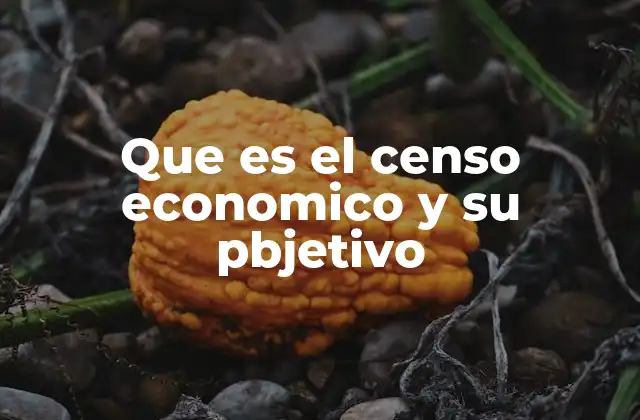 Que es el Censo Economico y Su Pbjetivo 2 El papel del censo económico en la toma de decisiones públicas