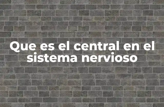 Que es el Central en el Sistema Nervioso