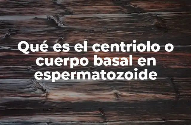 Qué es el Centriolo o Cuerpo Basal en Espermatozoide