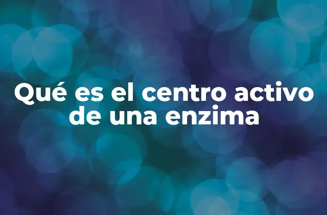 La importancia del centro activo en la función enzimática