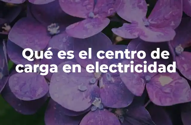 Qué es el Centro de Carga en Electricidad