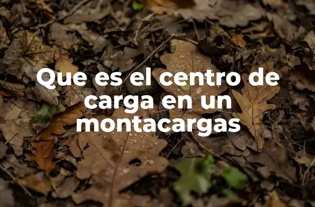 Que es el Centro de Carga en un Montacargas