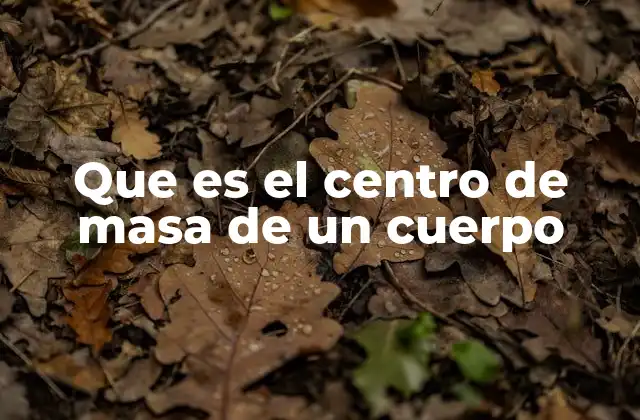 Que es el Centro de Masa de un Cuerpo