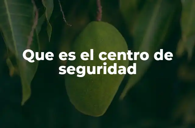 Que es el Centro de Seguridad 2 La importancia de contar con un sistema centralizado de monitoreo
