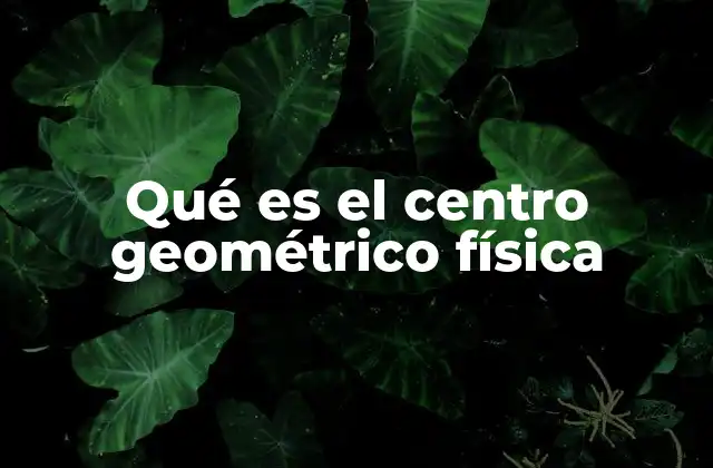 Qué es el Centro Geométrico Física