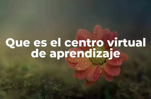 Que es el Centro Virtual de Aprendizaje