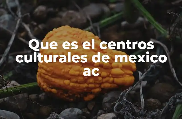 Que es el Centros Culturales de Mexico Ac