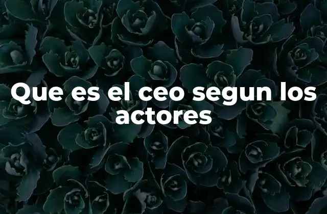 Que es el Ceo Segun los Actores