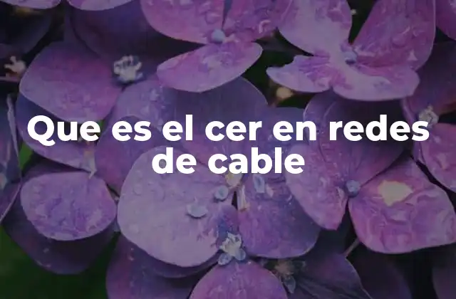 El funcionamiento de las redes de cable y su relación con el CER