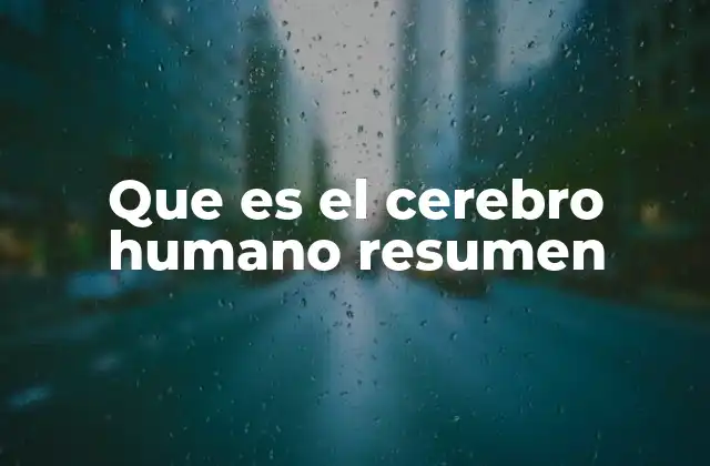 Que es el Cerebro Humano Resumen