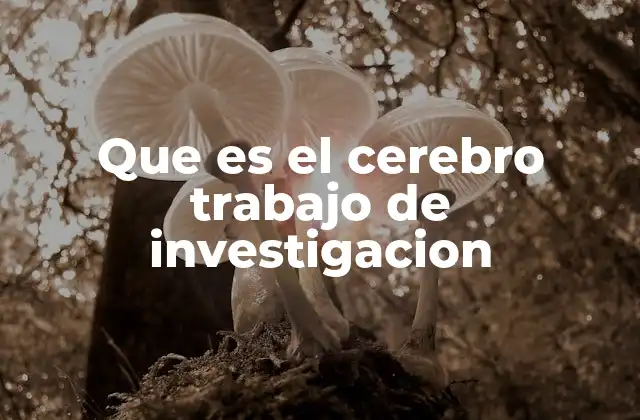 Que es el Cerebro Trabajo de Investigacion