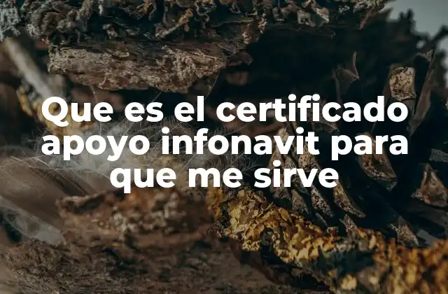 Que es el Certificado Apoyo Infonavit para que Me Sirve