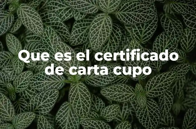 Que es el Certificado de Carta Cupo