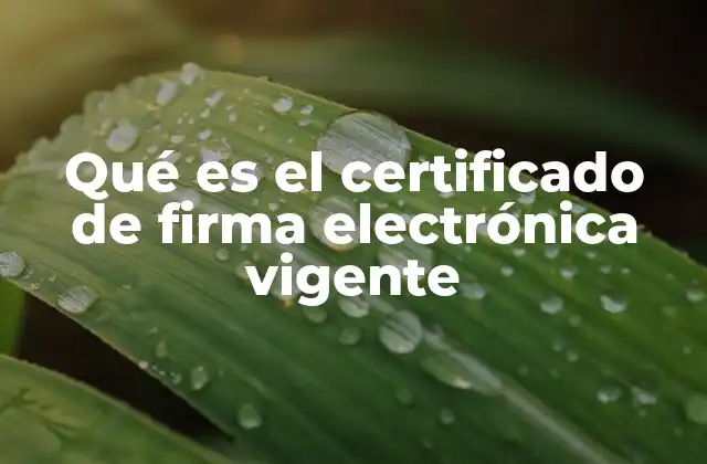 Qué es el Certificado de Firma Electrónica Vigente 2 La importancia de la firma electrónica en el entorno digital