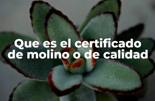 Que es el Certificado de Molino o de Calidad