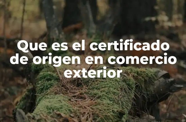 Que es el Certificado de Origen en Comercio Exterior 2 La relevancia del certificado de origen en el comercio internacional