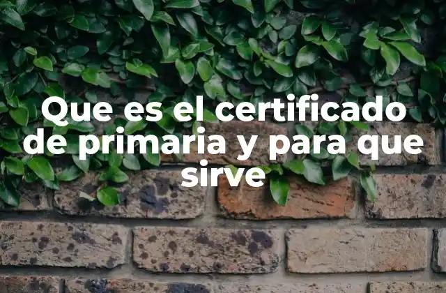 Que es el Certificado de Primaria y para que Sirve 2 La importancia del certificado de primaria en la vida personal y profesional