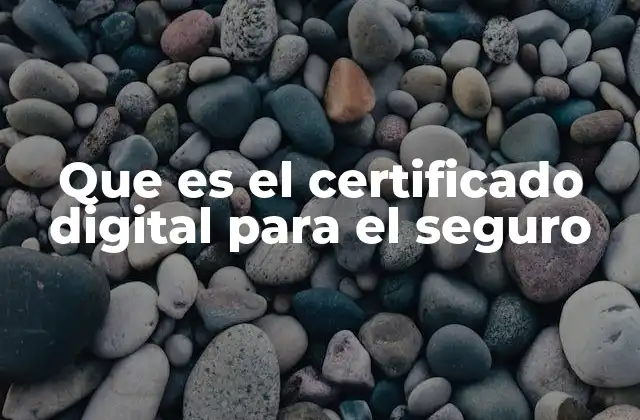 Que es el Certificado Digital para el Seguro 2 Cómo el certificado digital garantiza la seguridad en los trámites de seguros