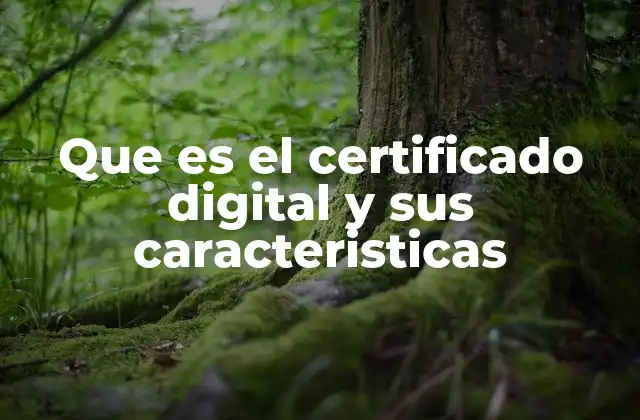 Que es el Certificado Digital y Sus Caracteristicas