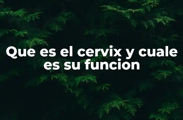 Que es el Cervix y Cuale es Su Funcion 2 El papel del cervix en la salud femenina