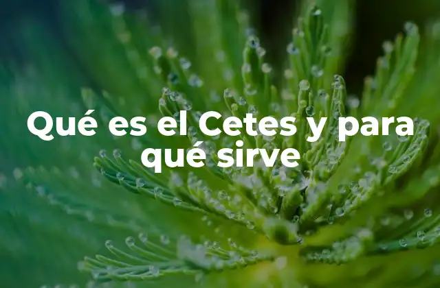 Qué es el Cetes y para Qué Sirve