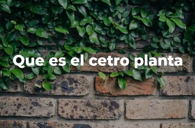 Que es el Cetro Planta
