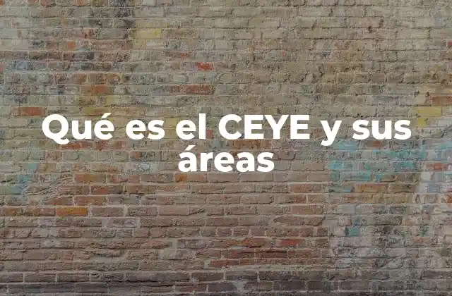 Qué es el Ceye y Sus Áreas 2 El CEYE como referente en la formación empresarial