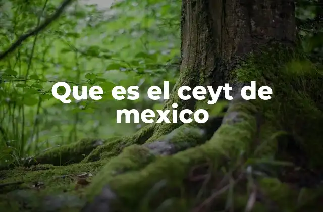 Que es el Ceyt de Mexico