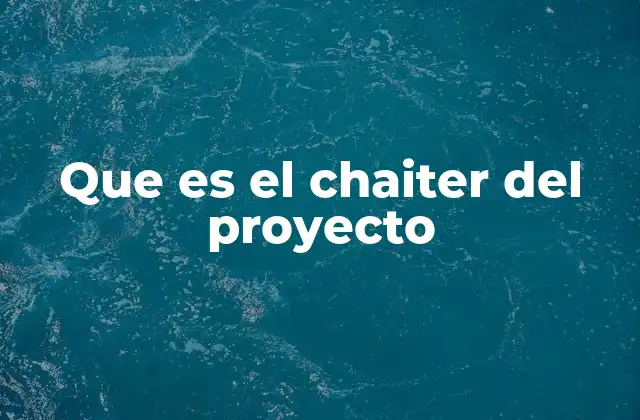 Que es el Chaiter Del Proyecto