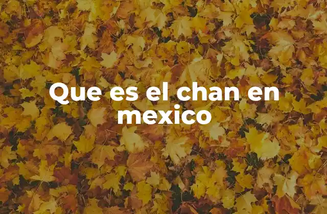 Que es el Chan en Mexico