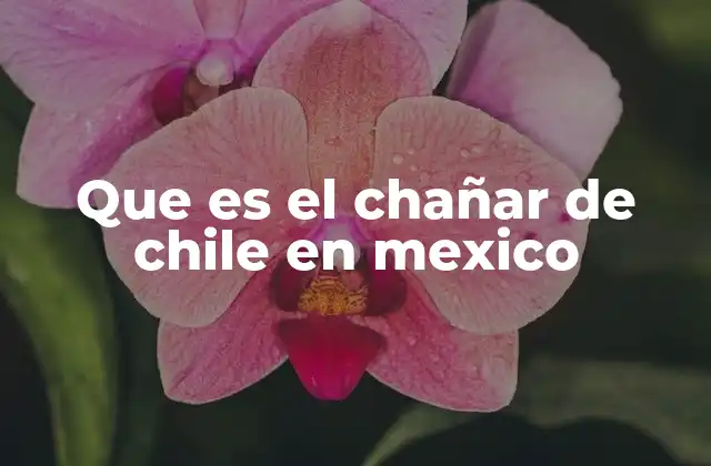 Que es el Chañar de Chile en Mexico