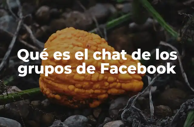 Qué es el Chat de los Grupos de Facebook