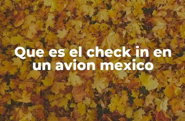 Que es el Check In en un Avion Mexico