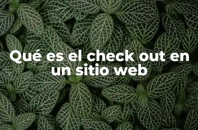 Qué es el Check Out en un Sitio Web