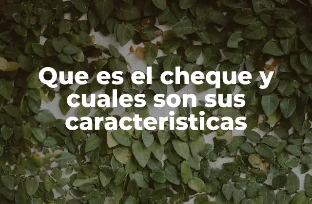 Que es el Cheque y Cuales Son Sus Caracteristicas