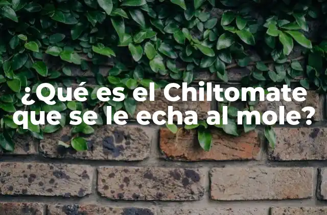 Orígenes y significado de Chiltomate en la gastronomía mexicana