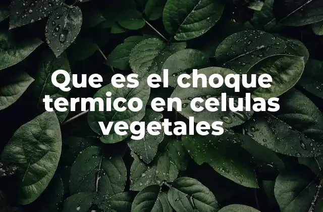 Que es el Choque Termico en Celulas Vegetales